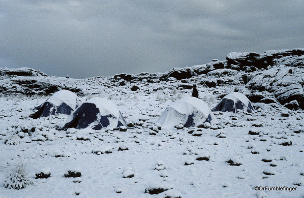 Spare Tanzania photos 03-1999 (26). Mt. Kilimanjaro, Sheefield Camp