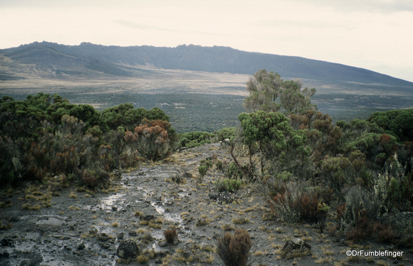 Spare Tanzania photos 03-1999 (27). Fischer Camp Mt. Kilimanjaro