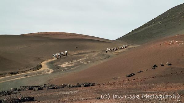 Timanfaya National Park 10