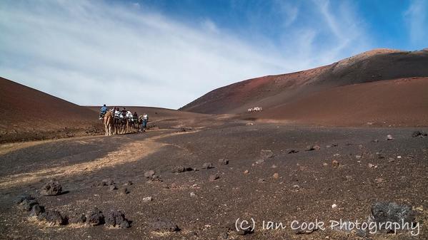 Timanfaya National Park 13