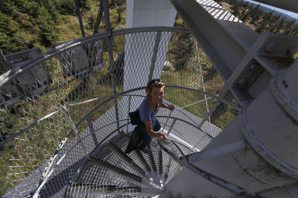 Tower Steps