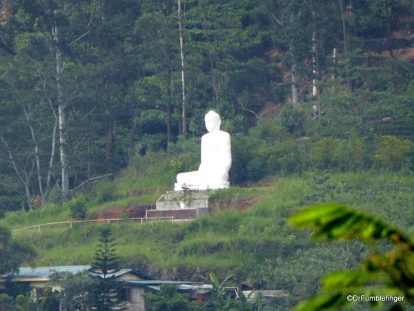 Trip to Nuwara Eliya, Sri Lanka (110)