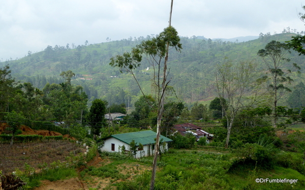 Trip to Nuwara Eliya, Sri Lanka (113)