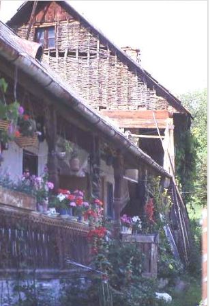 Village House