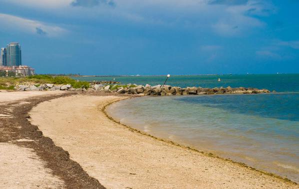 Virginia_Key_Beach_South_Florida_Beaches