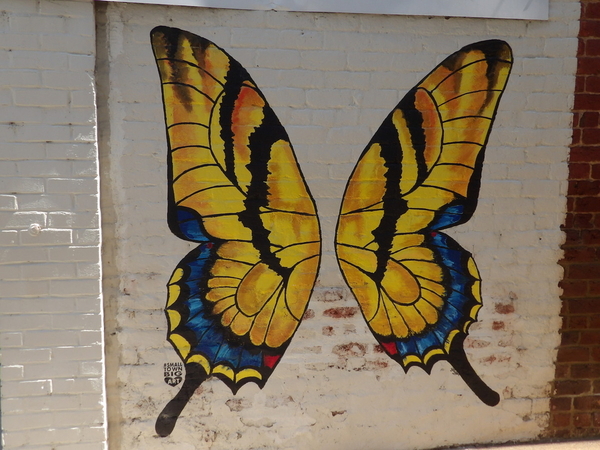 Wall Mural Butterfly