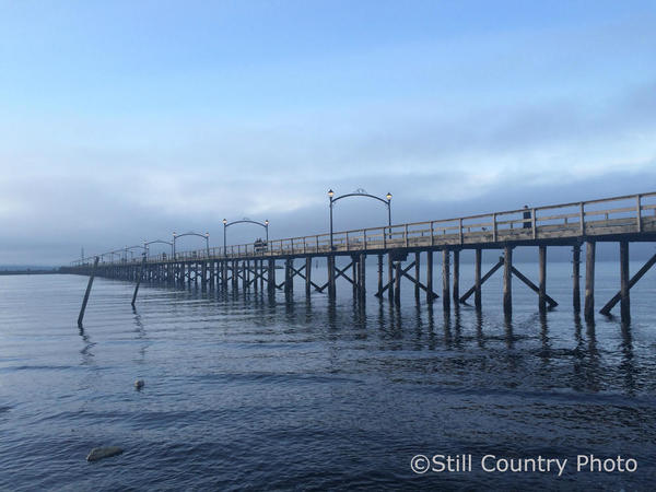 White Rock Pier TG