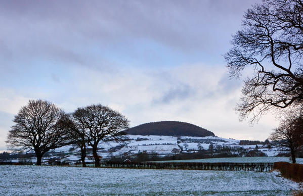 Whorl Hill snow