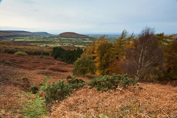 Carlton Bank landscape looking towards Whorl Hill.