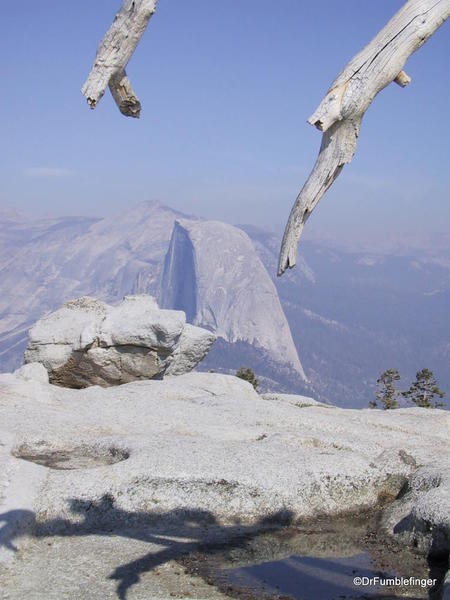 Half Dome viewed through branches of dead Jeffrey Pine on Sentinel Dome, Yosemite National