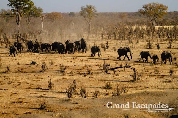 Zimbabwe-Hwange-103