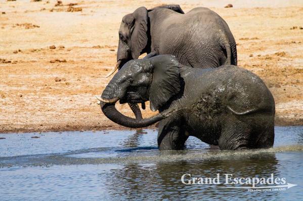 Zimbabwe-Hwange-105