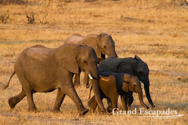 Zimbabwe-Hwange-107