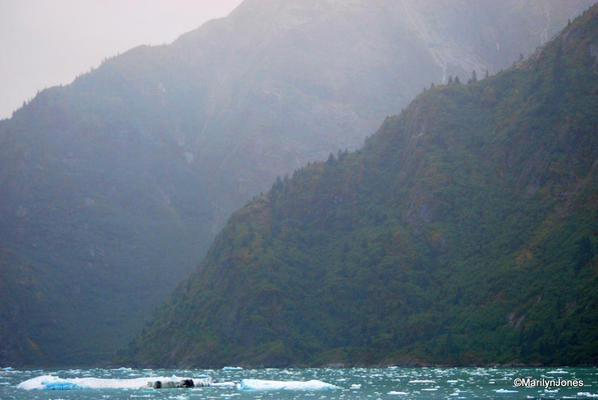 Tracy Arm Fjord, Alaska