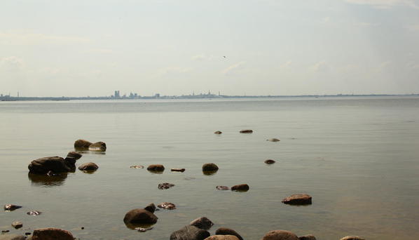 baltic with tallinn in background