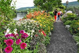 bridge in bloom