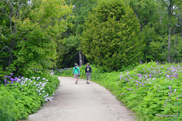 A flower-lined path leads to the lighthouse.