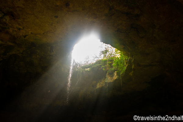 cenote 05