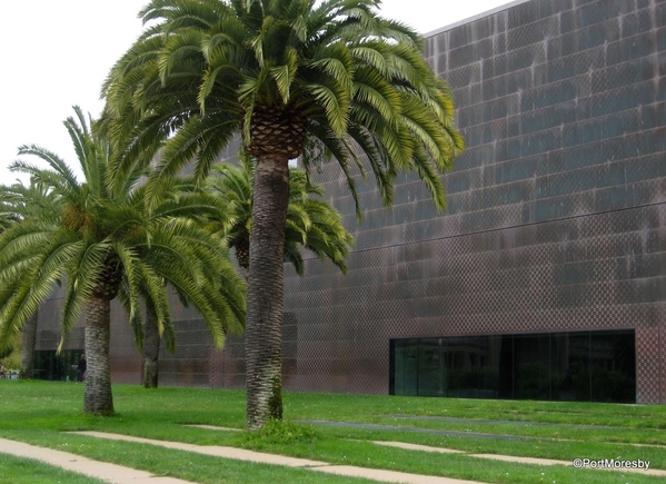 deYoung-11