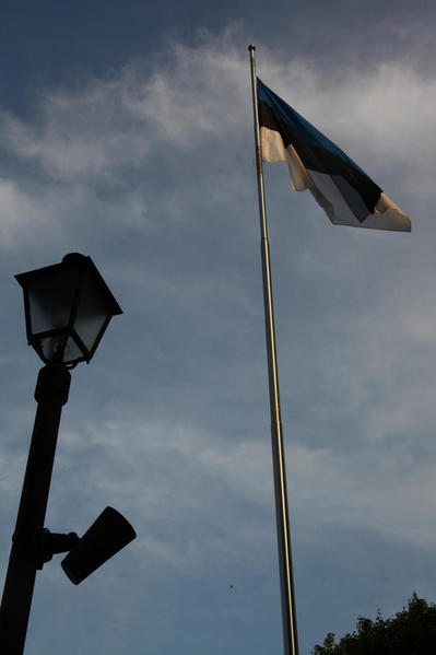 estonian flag