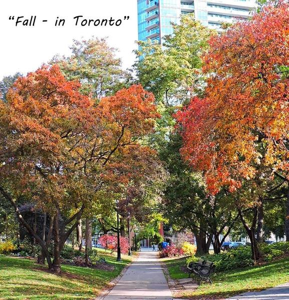 fallintoronto