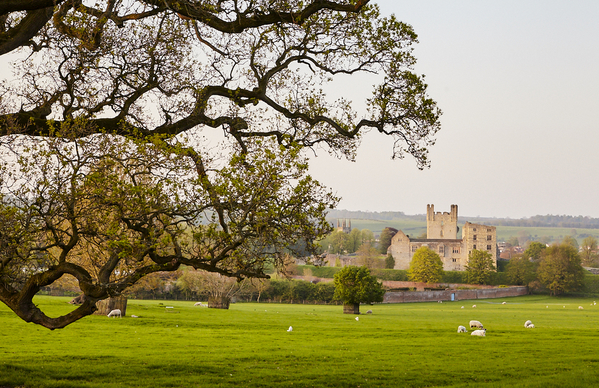 Duncombe park grounds and Helmsley castle;