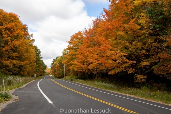 leaf_peeping_2020 -3