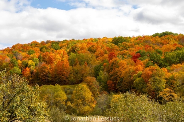 leaf_peeping_2020 -5