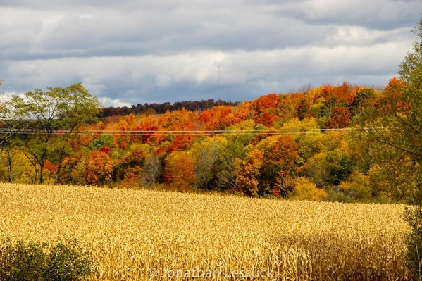 leaf_peeping_2020 -6