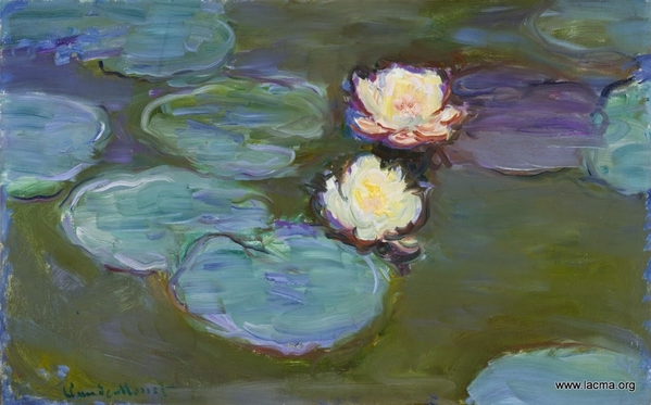 nympheas monet