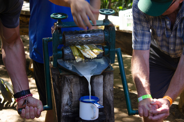 pressing cane