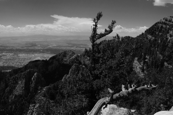 sandia sky 5