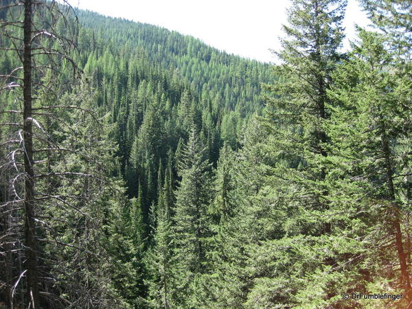 Trail to Stevens Lake, Idaho