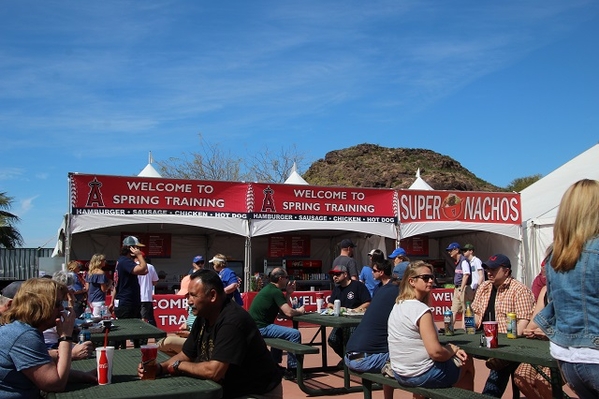 tempe-diablo-stadium-picnic-tables