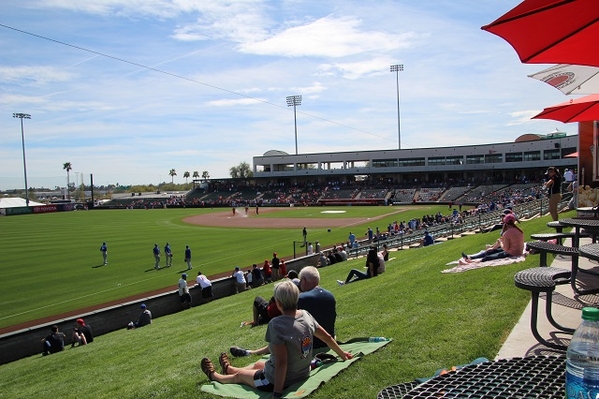 tempe-diablo-stadium-view3