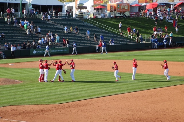 tempe-diablo-stadium-view4