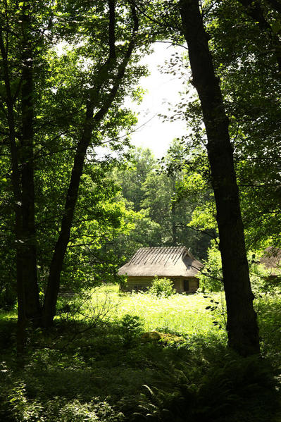 traditional cabin, ethnographic museum