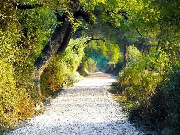 Keoladeo National Park