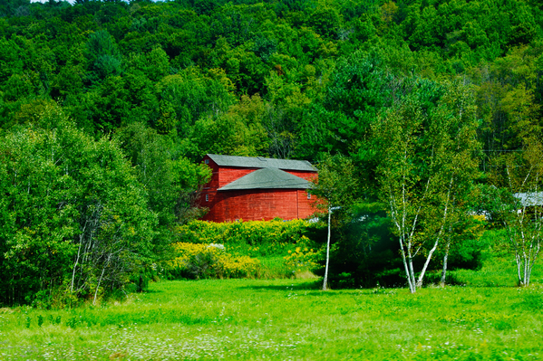 view 38 round barn