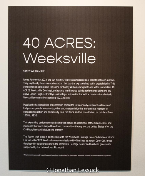 weeksville-4